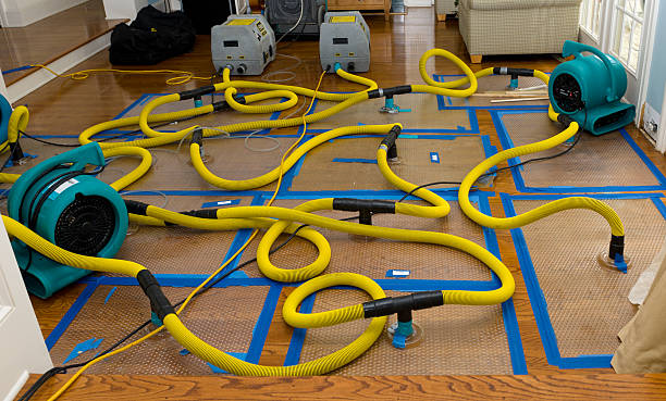 Professional Water Damage Restoration technician working in Marstons Mills, MA